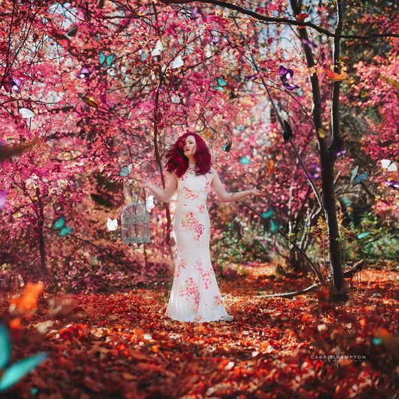 Meet your Posher, Alyssa - Picture 1 of 1